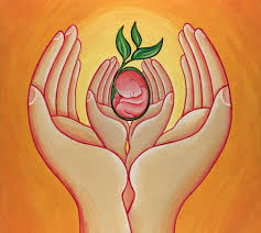 fertilitate interesesant