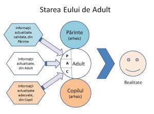 starea de adult